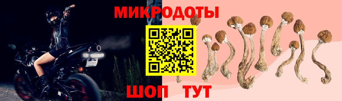 Коркино  Галлюциногенные грибы Psilocybine cubensis  Вход с VPN 